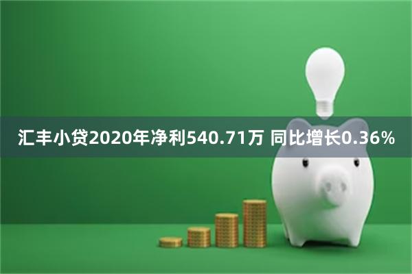 汇丰小贷2020年净利540.71万 同比增长0.36%