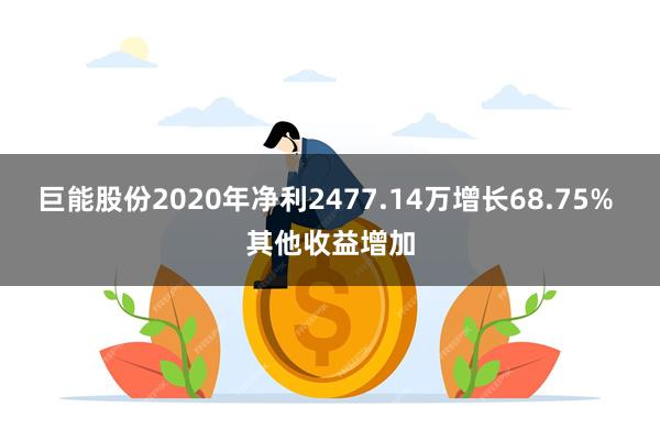 巨能股份2020年净利2477.14万增长68.75% 其他收益增加