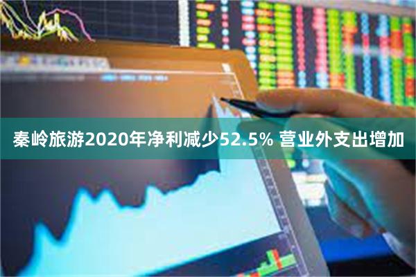 秦岭旅游2020年净利减少52.5% 营业外支出增加