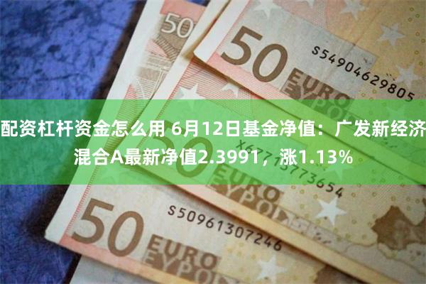 配资杠杆资金怎么用 6月12日基金净值：广发新经济混合A最新净值2.3991，涨1.13%