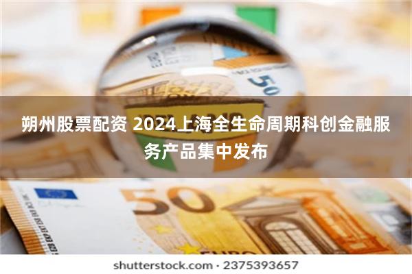 朔州股票配资 2024上海全生命周期科创金融服务产品集中发布