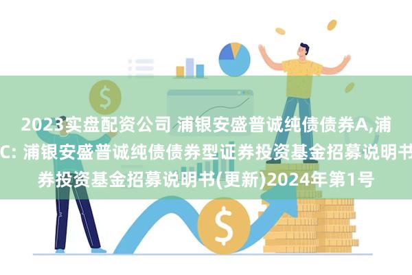 2023实盘配资公司 浦银安盛普诚纯债债券A,浦银安盛普诚纯债债券C: 浦银安盛普诚纯债债券型证券投资基金招募说明书(更新)2024年第1号