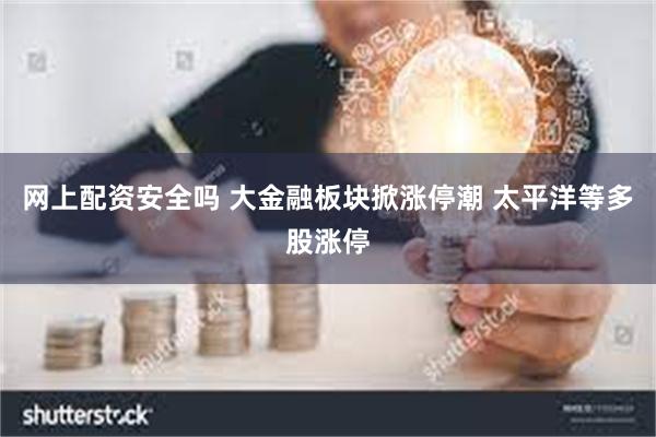 网上配资安全吗 大金融板块掀涨停潮 太平洋等多股涨停