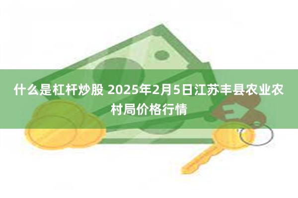 什么是杠杆炒股 2025年2月5日江苏丰县农业农村局价格行情