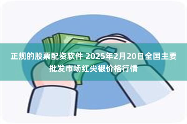 正规的股票配资软件 2025年2月20日全国主要批发市场红尖椒价格行情